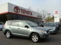 Everglade Metallic - RAV4 4WD Photo No. 1