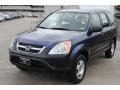 Eternal Blue Pearl - CR-V LX Photo No. 3
