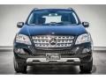 Black - ML 350 Photo No. 2