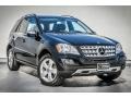 Black - ML 350 Photo No. 12