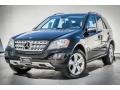Black - ML 350 Photo No. 13