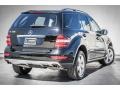 Black - ML 350 Photo No. 14