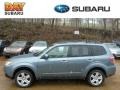 2010 Sage Green Metallic Subaru Forester 2.5 X Premium  photo #1