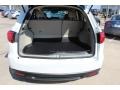 White Diamond Pearl - RDX Technology Photo No. 22