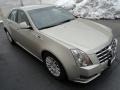 Silver Coast Metallic - CTS 3.0 Sedan Photo No. 3