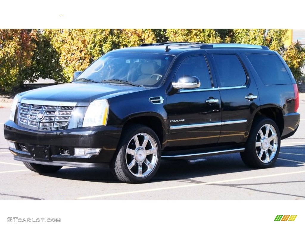 Black Raven 2010 Cadillac Escalade Luxury AWD Exterior Photo #77809697