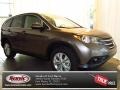 2013 Urban Titanium Metallic Honda CR-V EX  photo #1