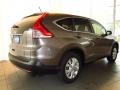 2013 Urban Titanium Metallic Honda CR-V EX  photo #3