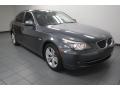 Platinum Grey Metallic 2010 BMW 5 Series 528i Sedan Exterior