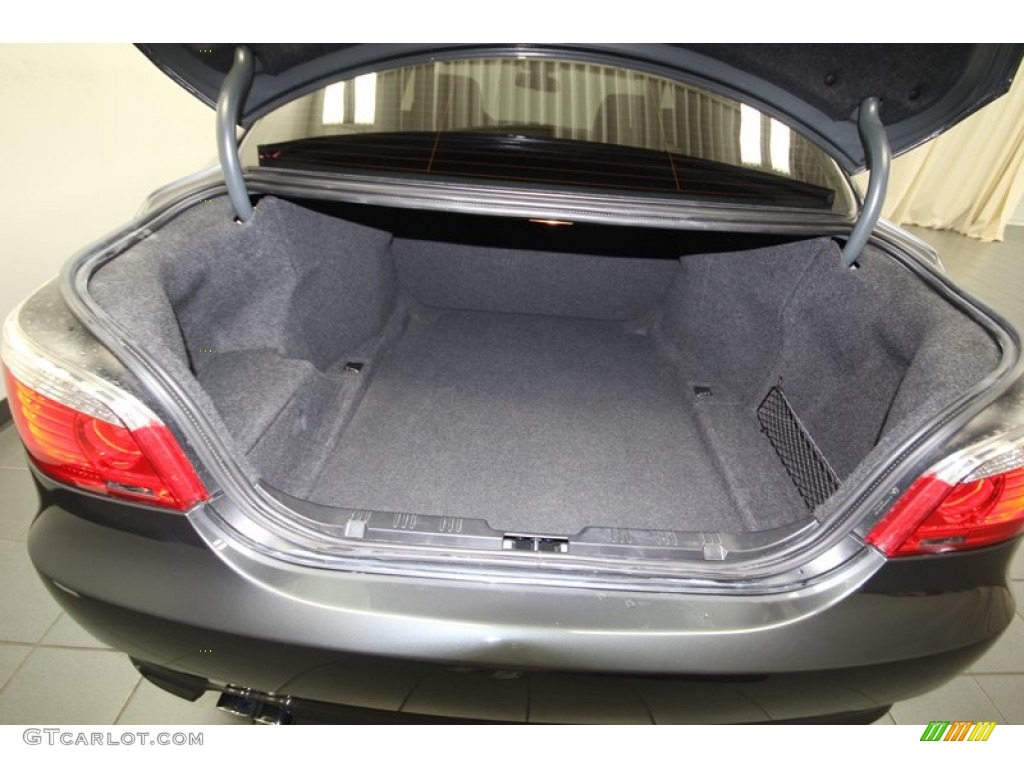 2010 BMW 5 Series 528i Sedan Trunk Photo #77816260
