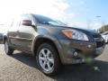Pyrite Metallic - RAV4 Limited Photo No. 1