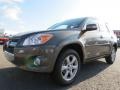 Pyrite Metallic - RAV4 Limited Photo No. 3