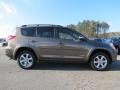 Pyrite Metallic - RAV4 Limited Photo No. 7