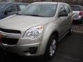 2013 Champagne Silver Metallic Chevrolet Equinox LS  photo #1