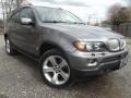 Sterling Grey Metallic - X5 4.4i Photo No. 2