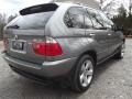 Sterling Grey Metallic - X5 4.4i Photo No. 4