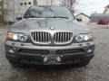 Sterling Grey Metallic - X5 4.4i Photo No. 7