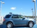 2011 Steel Blue Metallic Ford Escape Limited  photo #6