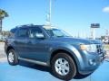 2011 Steel Blue Metallic Ford Escape Limited  photo #7