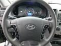 Gray Steering Wheel Photo for 2010 Hyundai Santa Fe #77832222