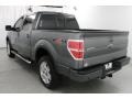 2010 Sterling Grey Metallic Ford F150 FX4 SuperCrew 4x4  photo #10