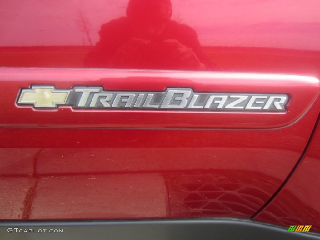 2003 TrailBlazer EXT LT - Majestic Red Metallic / Medium Pewter photo #14