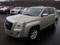 Champagne Silver Metallic - Terrain SLE AWD Photo No. 2