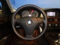 2010 Platinum Grey Metallic BMW 5 Series 528i xDrive Sedan  photo #23