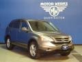 2010 Urban Titanium Metallic Honda CR-V EX-L AWD  photo #1