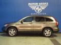 2010 Urban Titanium Metallic Honda CR-V EX-L AWD  photo #5