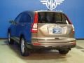 2010 Urban Titanium Metallic Honda CR-V EX-L AWD  photo #6