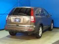 2010 Urban Titanium Metallic Honda CR-V EX-L AWD  photo #8