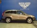 2010 Urban Titanium Metallic Honda CR-V EX-L AWD  photo #10