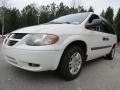Stone White - Grand Caravan SE Photo No. 1