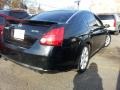 Super Black - Maxima 3.5 SE Photo No. 3