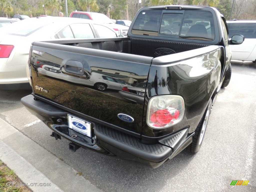 2004 F150 SVT Lightning - Black / SVT Black/Light Flint photo #10
