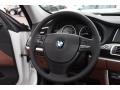 Cinnamon Brown Steering Wheel Photo for 2012 BMW 5 Series #77869938