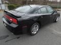 Pitch Black - Charger R/T Plus Photo No. 4