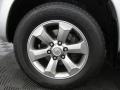 Titanium Metallic - 4Runner Limited 4x4 Photo No. 26