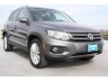 Pepper Gray Metallic - Tiguan SE Photo No. 1