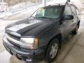 Black - TrailBlazer LS 4x4 Photo No. 5