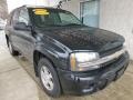 Black - TrailBlazer LS 4x4 Photo No. 7