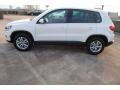 Candy White - Tiguan S Photo No. 6
