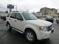 White Suede 2009 Ford Escape XLT V6 4WD
