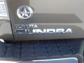 2013 Pyrite Mica Toyota Tundra Double Cab  photo #6