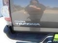 Pyrite Mica - Tacoma SR5 Prerunner Double Cab Photo No. 6