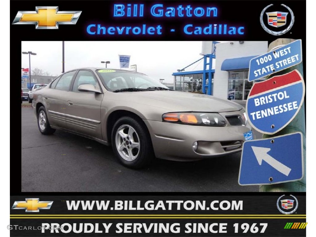 2002 Bonneville SE - Light Bronzemist Metallic / Taupe photo #1