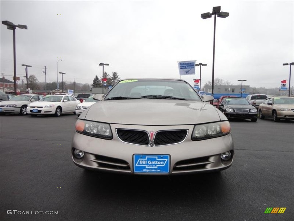 2002 Bonneville SE - Light Bronzemist Metallic / Taupe photo #2