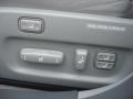 Mercury Metallic - LS 430 Photo No. 21