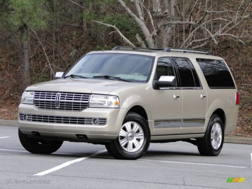 2007 Navigator L Ultimate 4x4 - Light French Silk Metallic / Stone/Charcoal photo #5